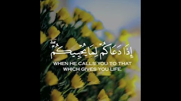 حالات واتس قرآن | يا أيها الذين آمنواْ استجيبواْ لله وللرسول | من سورة الأنفال