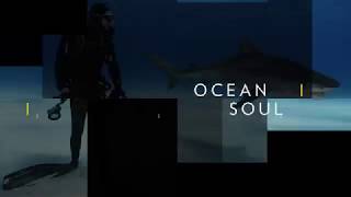 National Geographic Live - Brian Skerry: Ocean Soul