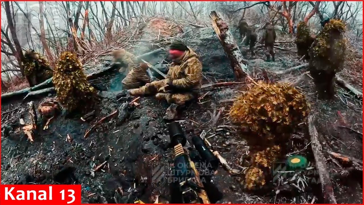 Silent assault in forest belt– Russian soldiers who survived in shelter surrendered