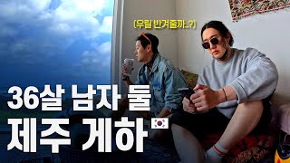 현생을 잠시 멈추고 낭만의 제주도 게스트하우스 가보기
