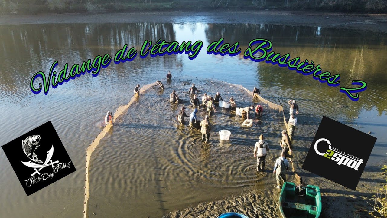 Vidange de l'étang des Bussières 2 // Beaucoup de carpe entre 20 et 28kgs