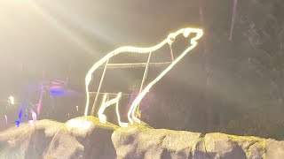 I Polar Bear zoo lights￼