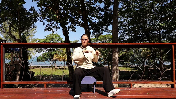 Seated Tai Chi Module 02 Waving Hands Like Clouds and Single Whip