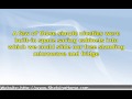Why Small Stuff Matters In Kitchen Cabinet Designs Why Small Stuff Matters In Kitchen Cabinet Designs