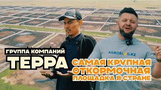 видео: Самая крупная откормочная площадка в стране картинка: Самая крупная откормочная площадка в стране