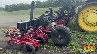 Salford Cultivator Cultivating Organic Beans - Precision Accuracy Row Crop Cultivator