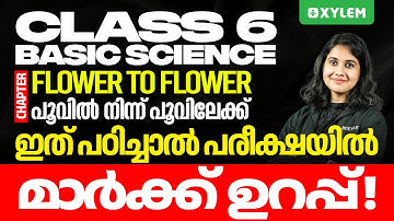 Class 6 Basic Science | Chapter: Flower To Flower - പൂവിൽ നിന്ന് പൂവിലേക്ക് | Onam Exam 2024