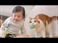まるで兄妹。おもちゃを取り合う猫と2歳児がかわいすぎる