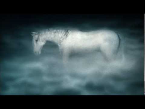 Лошадь в тумане вышивка