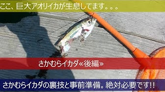 さかむらイカダ Youtube