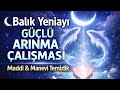 JAAS Seansı Tüm Negatiflikler Çözülüyor 19 Mart  Balık Yeniayı Derin Temizlik &amp; Yenilenme Çalışması