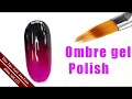 Cách Làm Ombre Sơn Gel Bằng Cọ Ombre Chuẩn