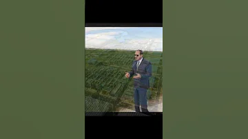 تعالوا نشوف إزاي السيسي دمر البلد 