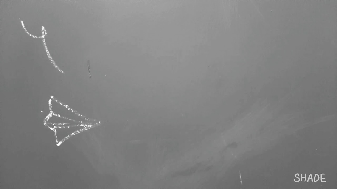 Birthday Video Idea Quarantine - Lockdown - Stop Motion - Animation - Chalk Art