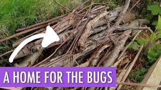 🌿 Making A Bug Hotel (Kinda) 🐛 + Clearing a New Bed | Allotment Vlog Ep.10