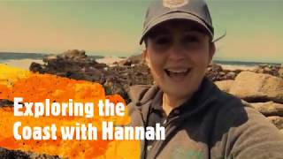 Rocky Intertidal Zones
