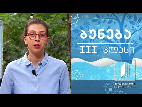 ბუნება, III კლასი - მცენარის კვება; მცენარის სუნთქვა #ტელესკოლა