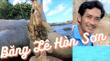 CÂU CÁ CÂU CÁ |CÁCH CÂU CÁ MÚ| BĂNG LÊ HÒN SƠN