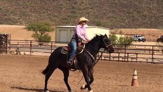Kenda and Milo Mounted Shooting Practice