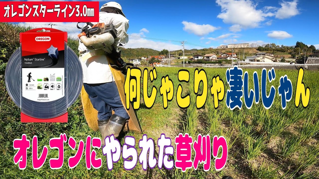 秋草バンザイOregonスターライン3.0㎜バンザイこりゃ凄いの一言でした