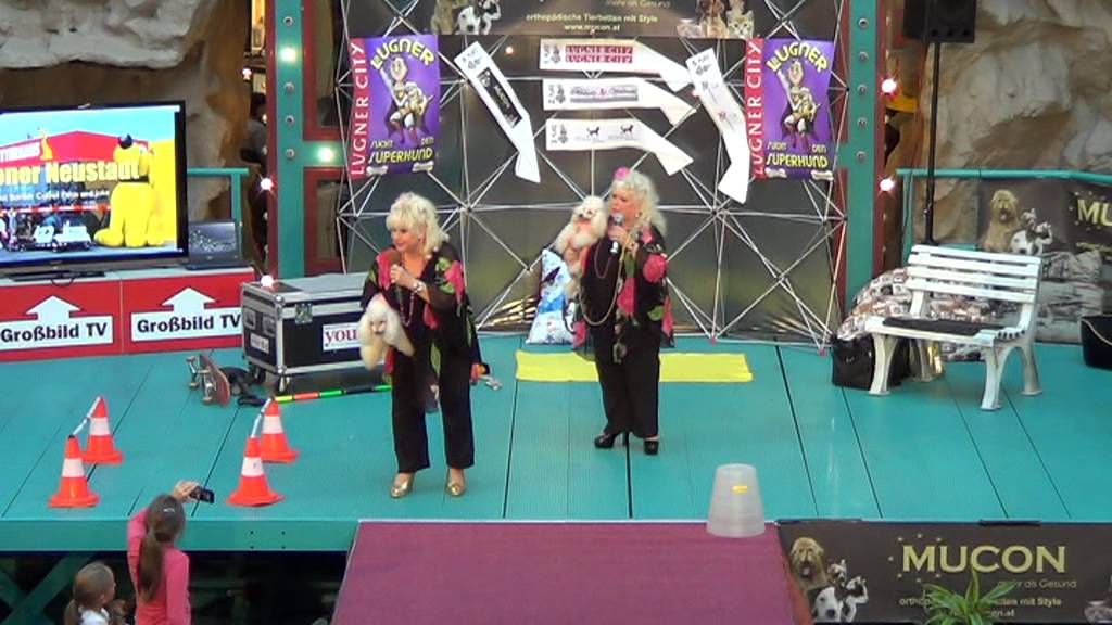 Die Jacob Sisters in der Lugner City bei der Wahl zum 