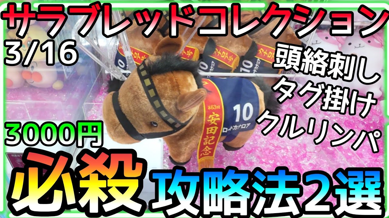 これを見れば次の一手に困らない!?頭絡刺し、タグ掛け、クルリンパ、硝子ズリズリ新作サラブレッドコレクション必殺攻略法2選!!