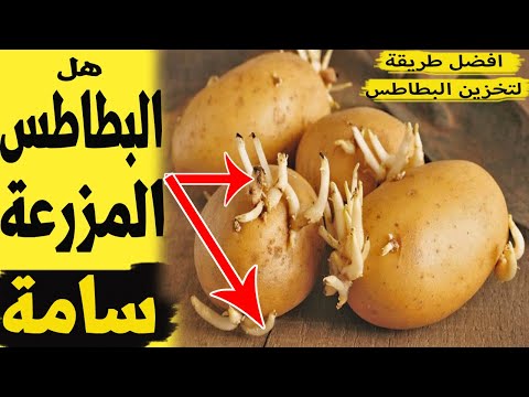 فيديو: نبت البطاطس: هل هو ضروري؟