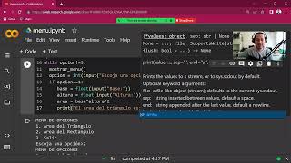 Sesiones Especiales: Variable dentro de funciones (Python)