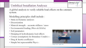 Umbilical Installation Analyses