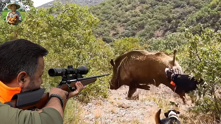 Hog Hunting | DANGEROUS BOARS! 100 Shots in 20 Minutes (Best HUNTING Compilation)