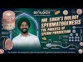 Spermatogenesis