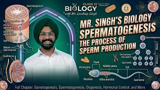 Spermatogenesis