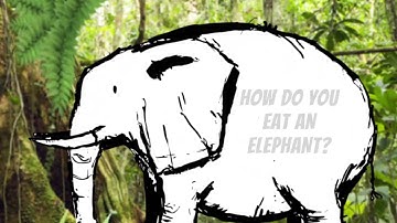 A brief introduction to McKinsey Academy