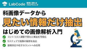 【画像解析入門 #2】ImageJの基本的な使い方！代表的な画像処理（コントラスト調整・輪郭抽出）を実践