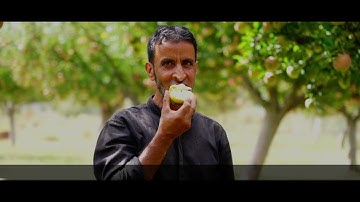 Best video of VISHVKARMA  Apple grading  machine  9896091276