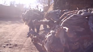 COCHINOCA FIESTA DE SAN JUAN BAUTISTA