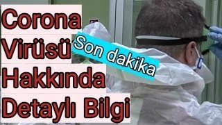 Corona Virüsü Nedir? Corona Virüsü Hakkında Bilgi Corona Virüsü Neden Çıktıcorona Virüsü Türkiye