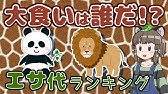 ゆっくり解説 スピードの速い最速動物ランキング12選 Youtube