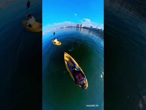 اسكندرية بتمشي في البحر طلع لي غطاس  اكسبلور 360  تحفيز ترند تيك توك 360