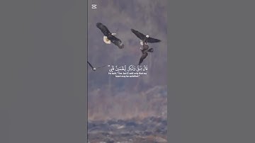 {واذ قال ابراهيم ربي ارني كيف تحيي الموتى} القارئ عبد الرحمن مسعد #قرآن #القرآن_الكريم