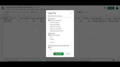SEO Strategy Assistant - Import SEMrush All Positions Data