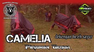Bantengan  Camelia yang dinanti ,,he.eeh sayur suport ..
