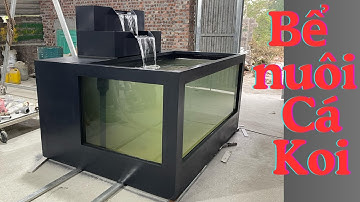 Bể nuôi cá koi 🐬200x150x100 _ Nhựa Composite nguyên khối | Giang Minh Composite