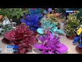 Гиацинты, крокусы, мускари: в Ноябрьском садовом центре активно готовятся к весенним праздникам