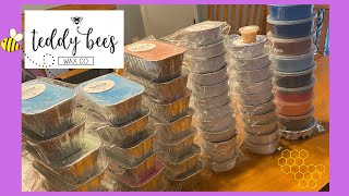 TEDDY BEE'S FEBRUARY 2024 PREORDER HAUL! An EPIC 35 POUNDS!