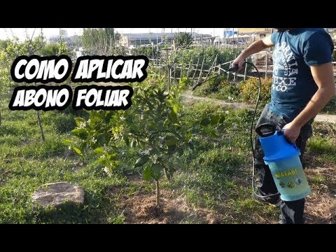 Fertiliza tus Plantas con Abono Foliar (Bosque de Alimentos) |  La Huerta de Ivan