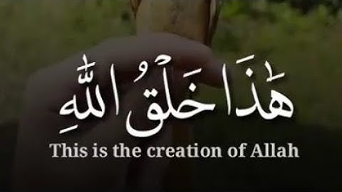 هذا خلق الله - اجمل حالات واتس اب قران كريم بصوت جميل جدا
