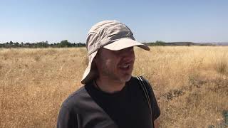 Visita al yacimiento del Oppidum Carpetano de el Llano de la Horca, Santorcaz, Madrid