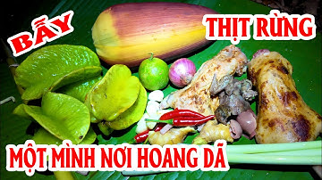 Một Mình Nơi Hoang Dã Đặt Chục Cái bẫy Là Tha Hồ Thịt Rừng  ✧ Suối Bản Tv