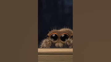 Making your fears less scary Arachnophobia (fear of spiders) #shorts